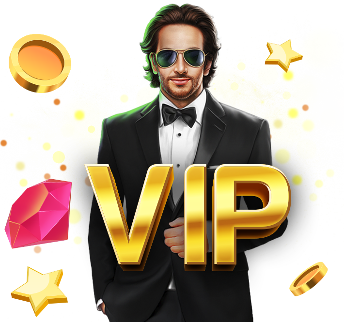 vip program